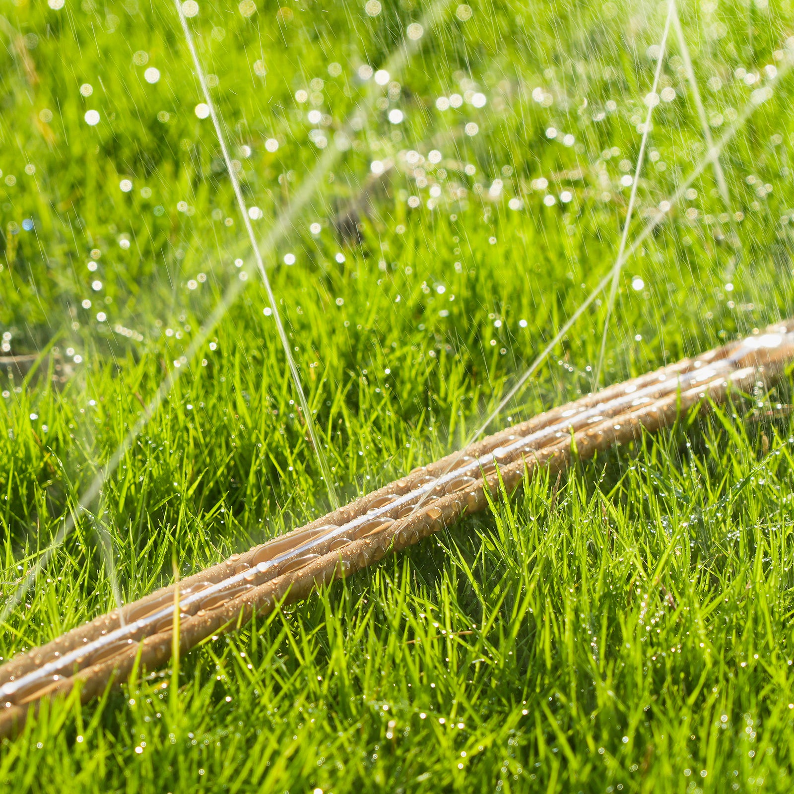LINEX Sprinkler Hose, Watering Hose with Holes, High-Efficiency Sprinklers System for Garden and Lawn with Staples