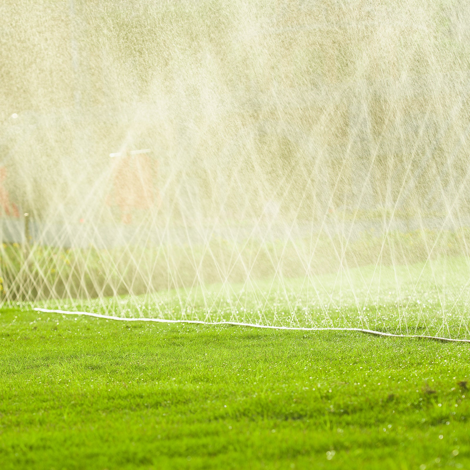 LINEX Sprinkler Hose, Watering Hose with Holes, High-Efficiency Sprinklers System for Garden and Lawn with Staples