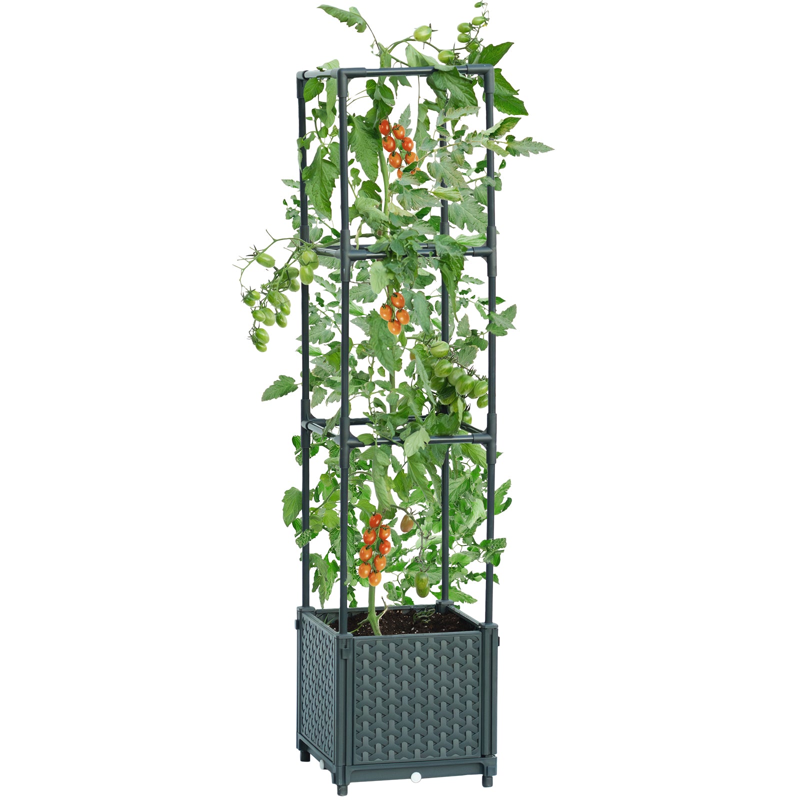 tomato plant pot with cage LINEX Raised Garden Bed Planter Box with Trellis, Tomato Planters for – LINEX GARDEN